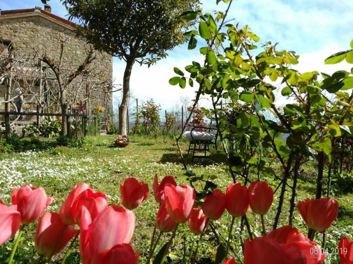 Vila House With Stunning Views Chiusdino Exteriér fotografie